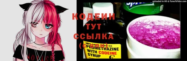 PSILOCYBIN Гусев