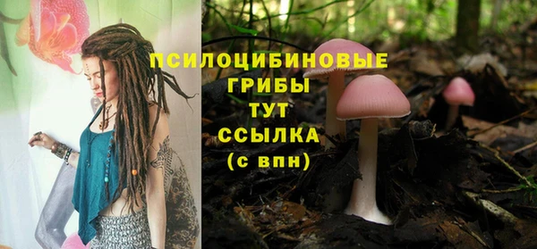 тгк Гусиноозёрск
