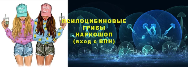 тгк Гусиноозёрск